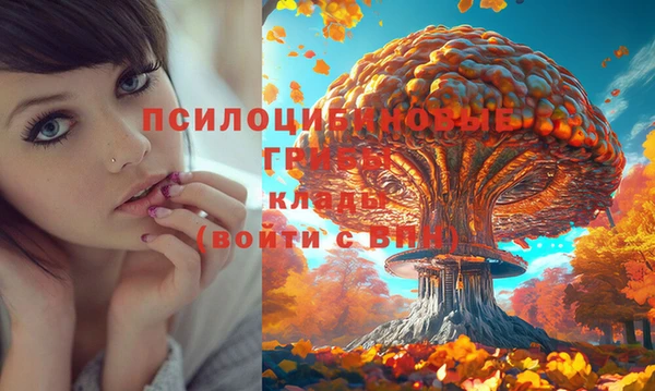 стаф Бородино