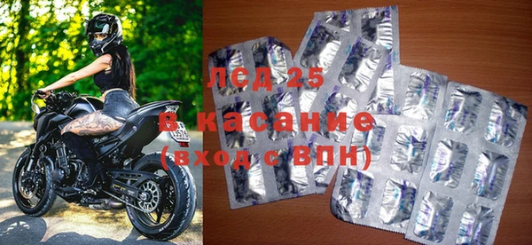 стаф Бородино