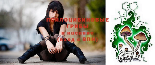 стаф Бородино